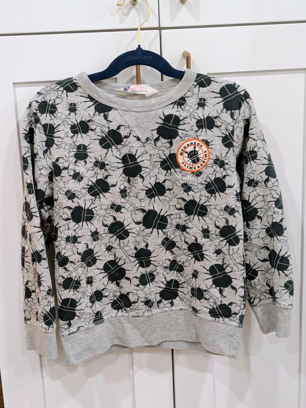 H&M Casual Crewneck Sweatshirt with Bug Print - Gray